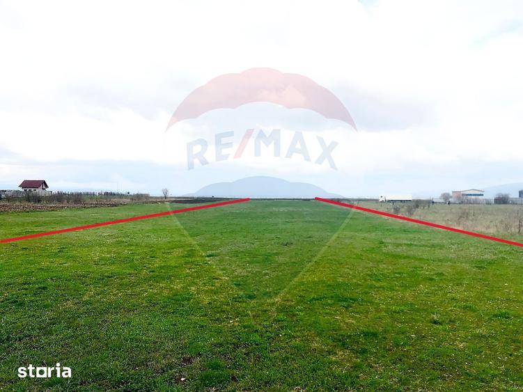 Teren de 3545 mp, în Tărlungeni