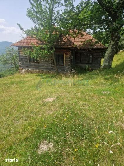 Teren de 26034 mp, în Bulz