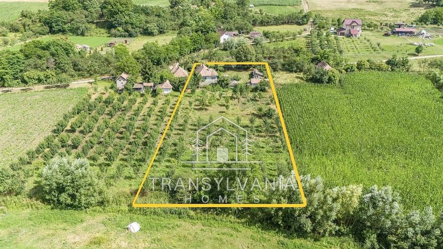 Casă cu Teren 2560 Mp în Sâmboleni