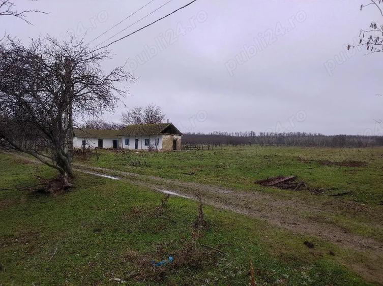 Teren de 8140 mp, în Băltenii de Jos