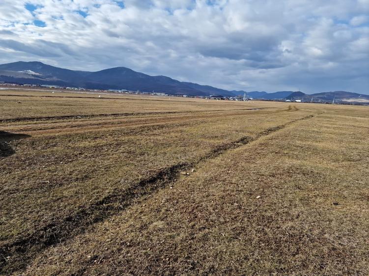 Teren agricol extravilan de 10000 mp, în Est
