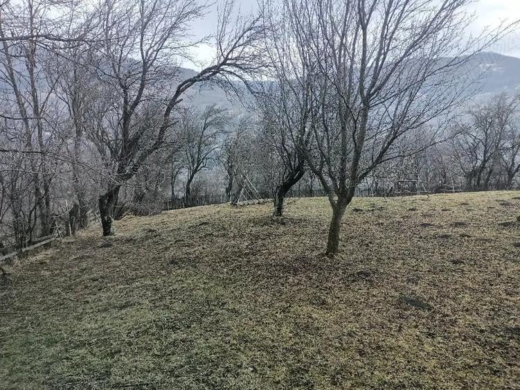 Teren de 1200 mp, în Teșila