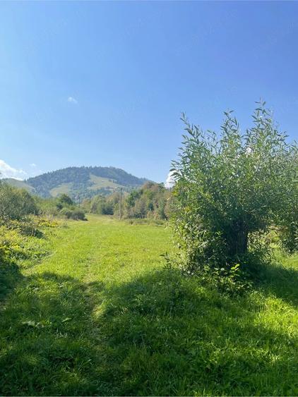 Teren de 2500 mp, în Central