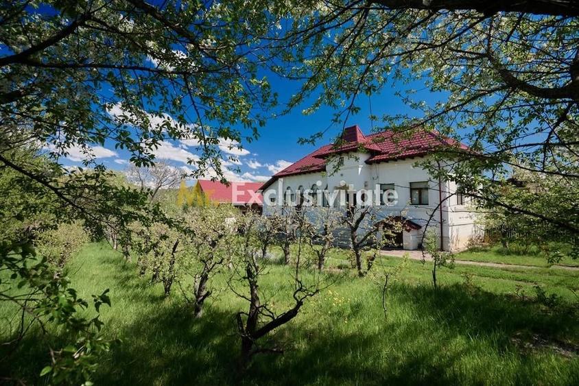 Casă cu 4 camere cu Teren 9915 Mp în Central