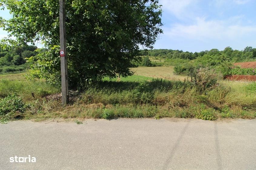 Teren de 2922 mp, în Pestișu Mic