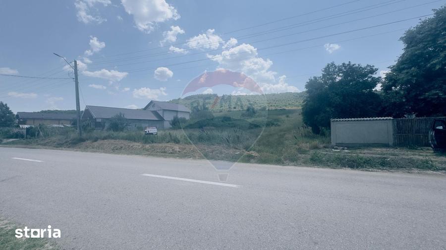 Teren de 3700 mp, în Coțofenii din Dos