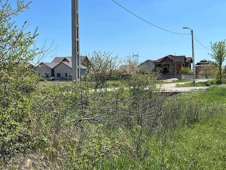 Teren Construcții extravilan de 4500 mp, în Nufărul