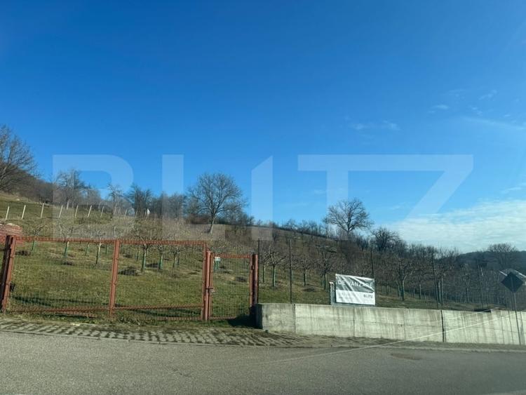 Teren Construcții intravilan de 3001 mp, în Nord-Vest