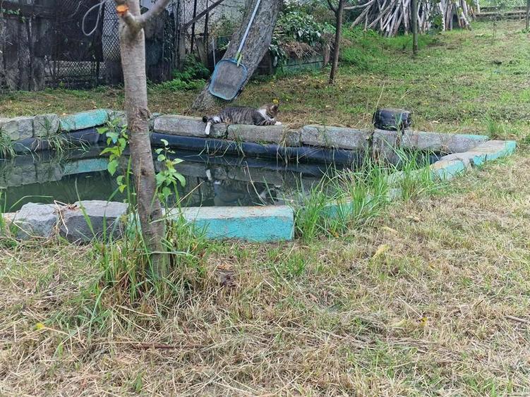 Casă cu 5 camere cu Teren 1000 Mp în Central