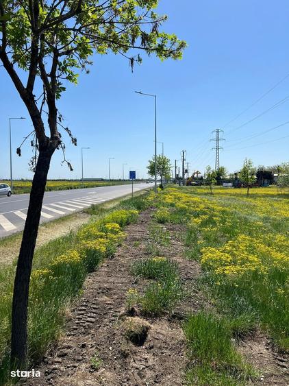 Teren de 5000 mp, în Vadu Pașii