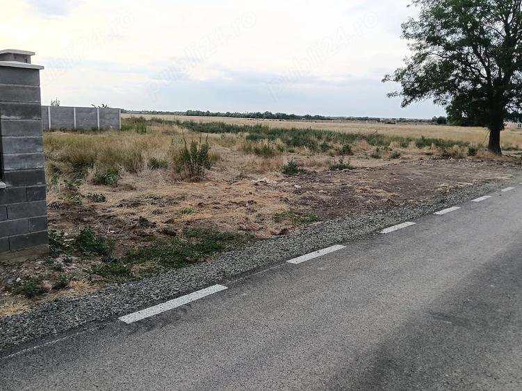 Teren de 589 mp, în Covaci