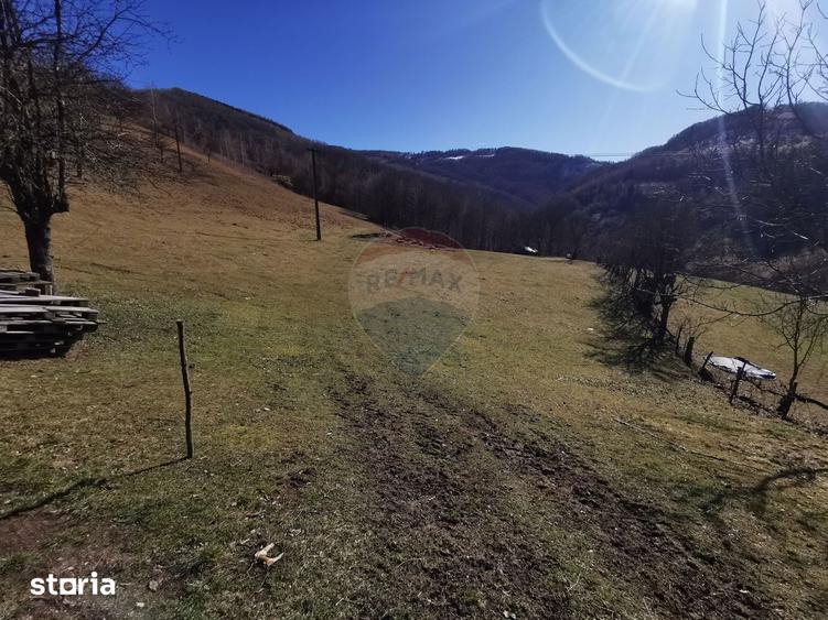 Teren de 10100 mp, în Bulz