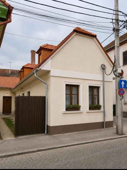 Casă cu 4 camere în Lazaret