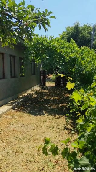 Casă cu 4 camere cu Teren 700 Mp în Ograda