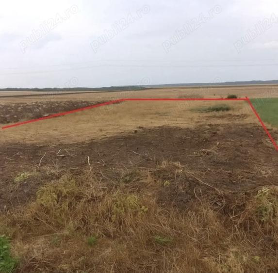 Teren de 1440 mp, în Sintea Mare