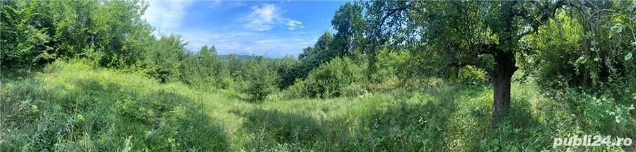 Teren de 10000 mp, în Căzănești (Milcoiu)