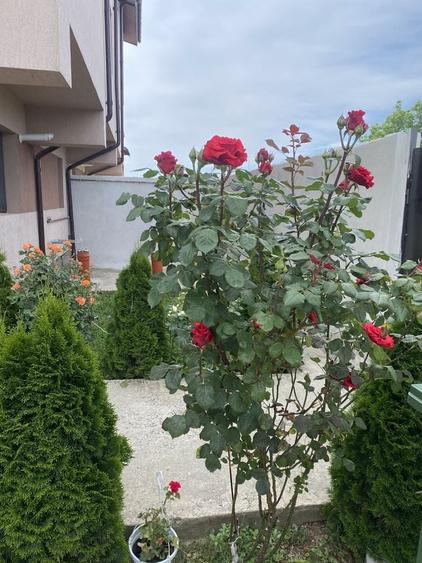 Casă cu 4 camere în Jilava