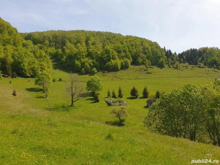 Teren de 1000 mp, în Dâmbovicioara