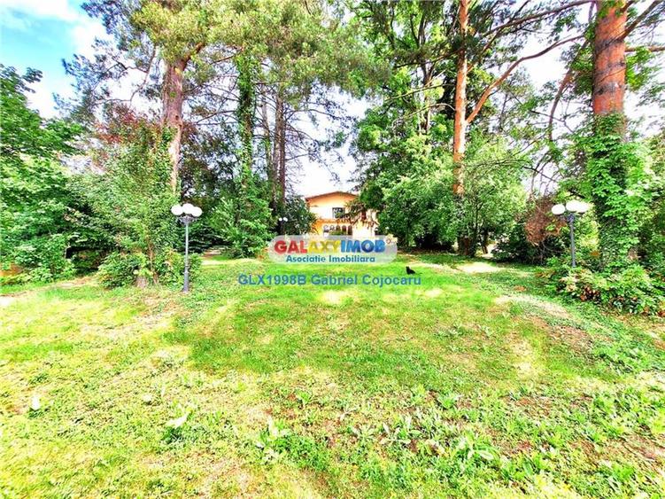 Casă cu 5 camere cu Teren 4043 Mp în Snagov