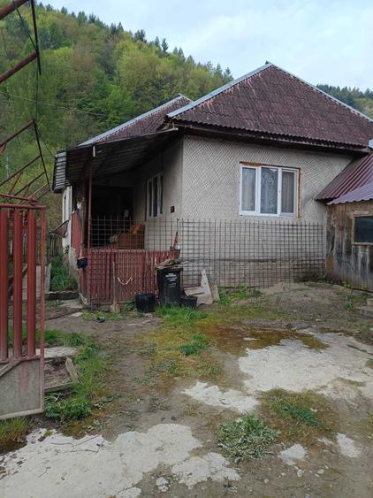 Casă cu 2 camere în Central