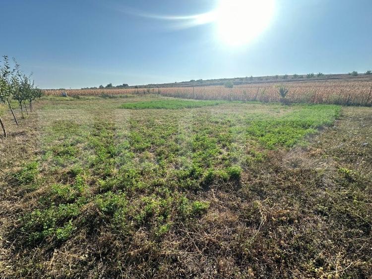 Teren Construcții extravilan de 500 mp, în Oarda