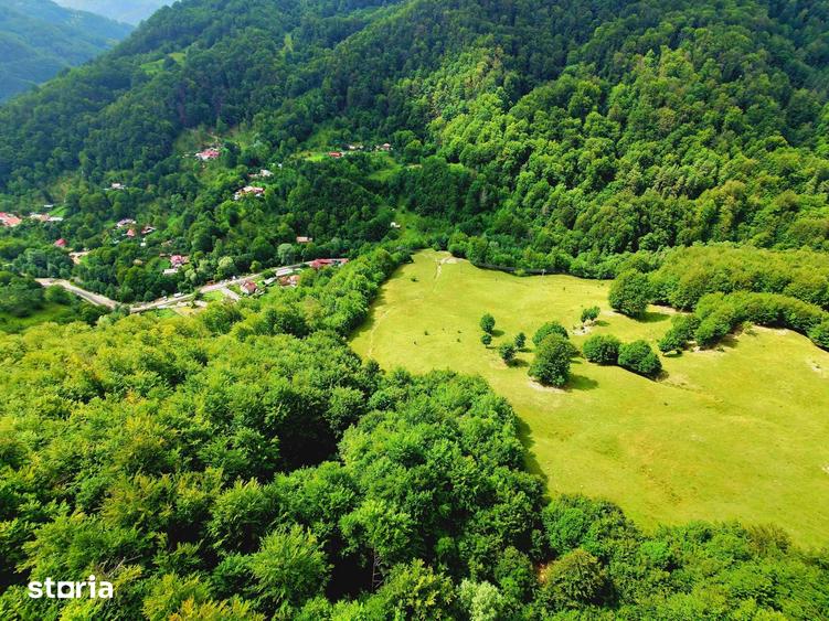 Teren de 7500 mp, în Cașoca