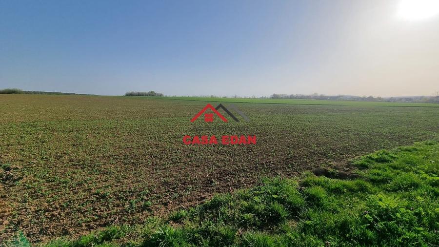 Teren agricol extravilan de 5000 mp, în Urleta