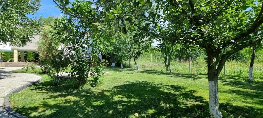 Casă cu 7 camere cu Teren 1500 Mp în Bolintin-Deal