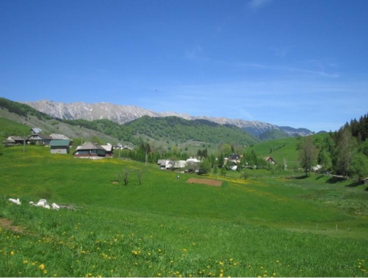 Teren Construcții intravilan de 1500 mp, în Șirnea
