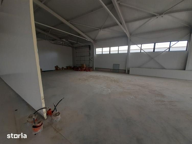 Hale cu suprafete intre 100-400mp in zona Drumul Intre Tarlale - 6