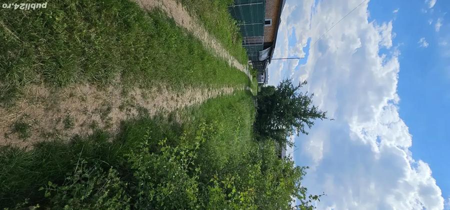 Urgent! Vand teren 750MP in Domnesti Ciutaci Ilfov - 9
