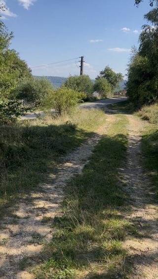 Teren de 5003 mp, în Poiana
