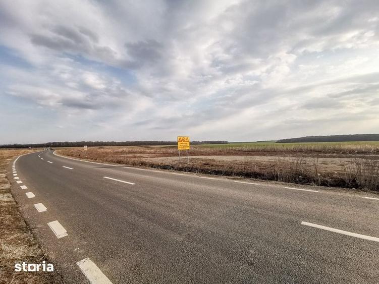 Teren de 13368 mp, în Cernica