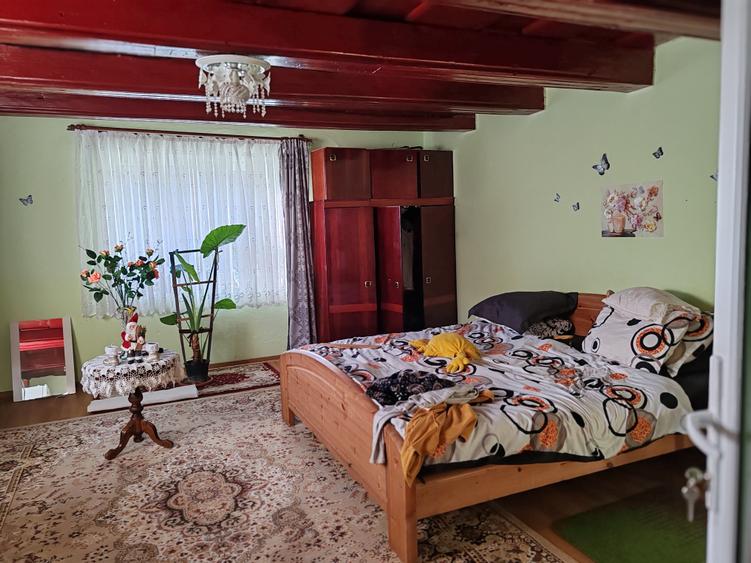 Casă individuală cu 5 camere cu Canalizare în Satu Nou