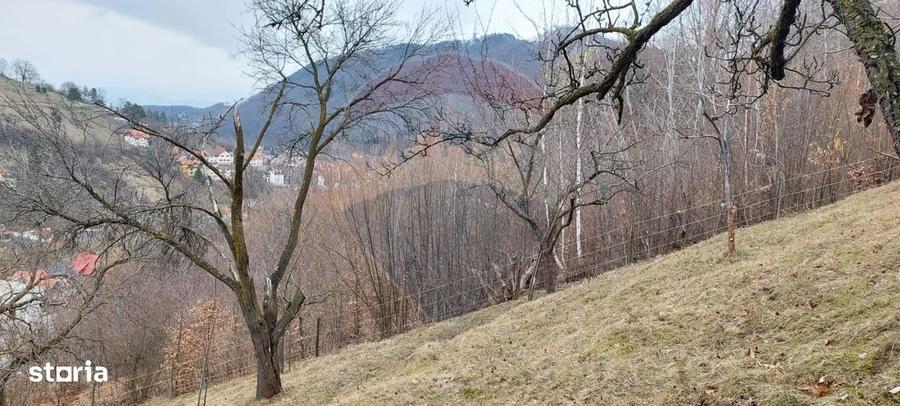 Spațiu comercial, în Centrul Istoric