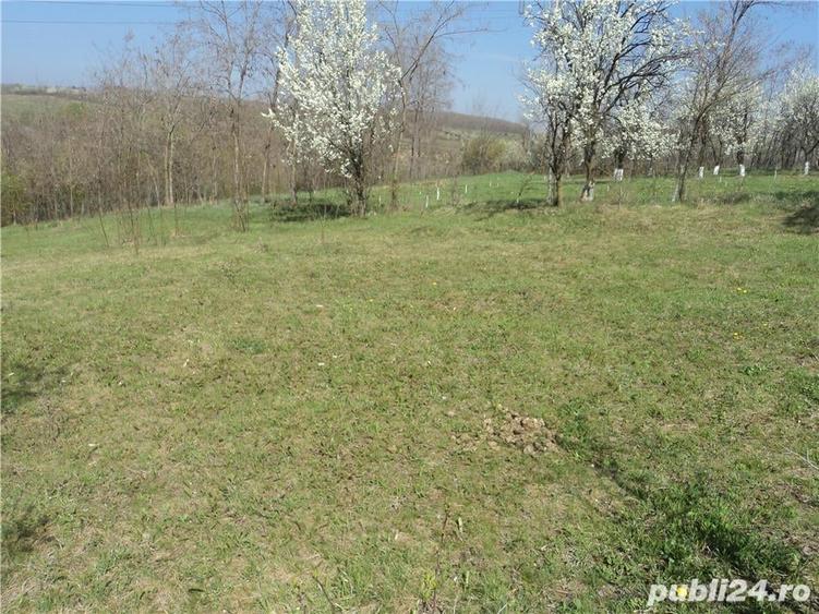 DE VANZARE: Teren - 2.600 mp @ Valenii de Munte, Prahova - 3