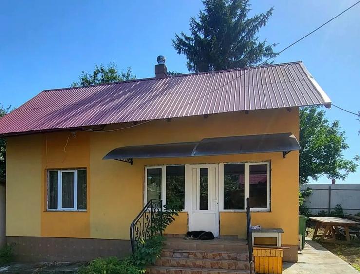 CASA cu TEREN 7.3 HECTARE Zvorastea Suceava - 6