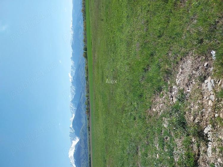 Teren de 27000 mp, în Drăguș