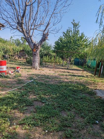 Casă cu 4 camere cu Teren 10000 Mp în Bârca
