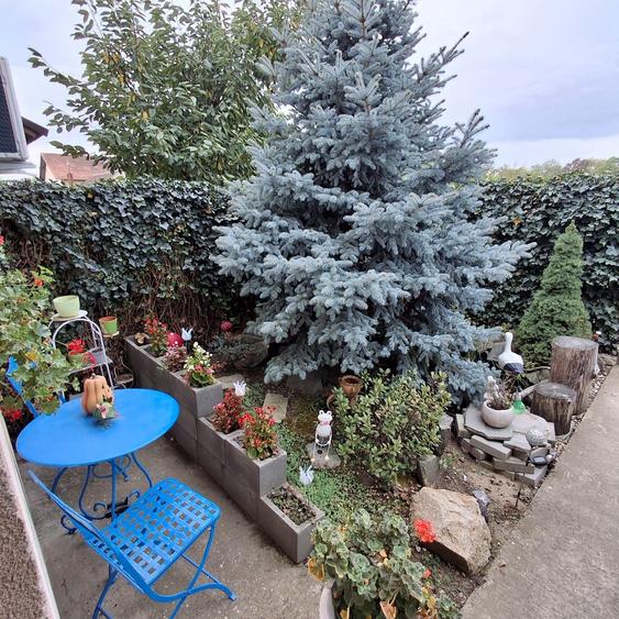 Duplex de vanzare, Mosnita, 5 cam, 132 utili, toate utilitatile, panouri fotovoltaice - 1