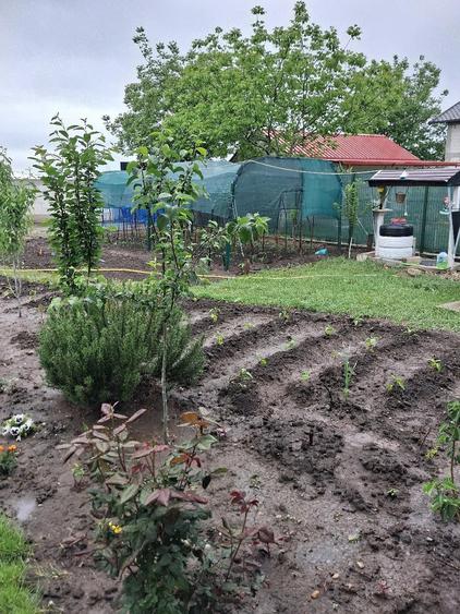 Teren de 500 mp, în Central