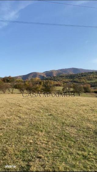 Teren de 972 mp, în Gura Râului