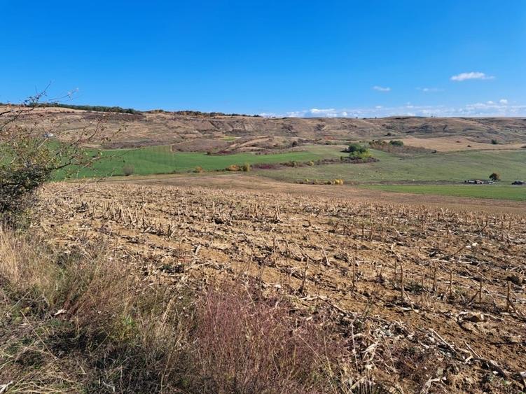 Teren agricol extravilan de 270000 mp, în Visuia