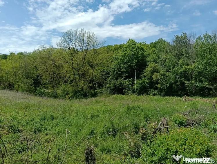 Teren de 1807 mp, în Cocorăștii Mislii