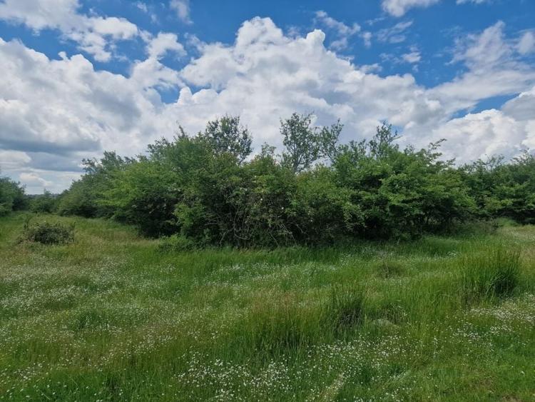 Teren Construcții intravilan de 3006 mp, în Smeura
