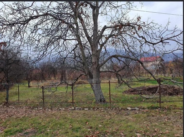 Teren de 2621 mp, în Central