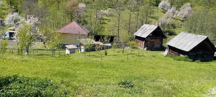 Casă cu 4 camere în Central