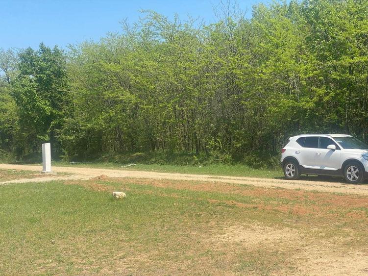 Spațiu comercial, în Coșoveni