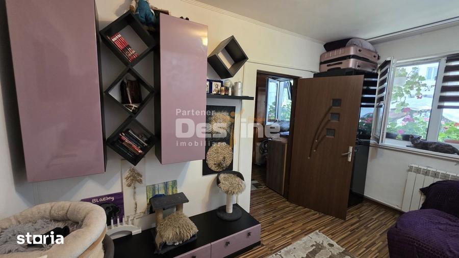 Apartament 2 camere, parter, zona linistita - 12