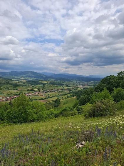 Teren de vanzare Ro?ia, Bihor - 6